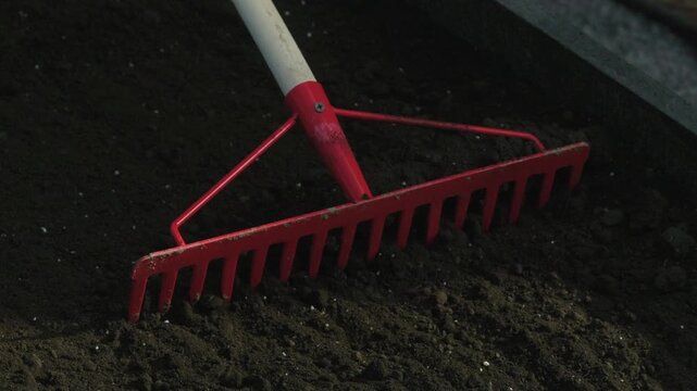 Gardening rake smoothing dark soil for planting or landscaping preparation