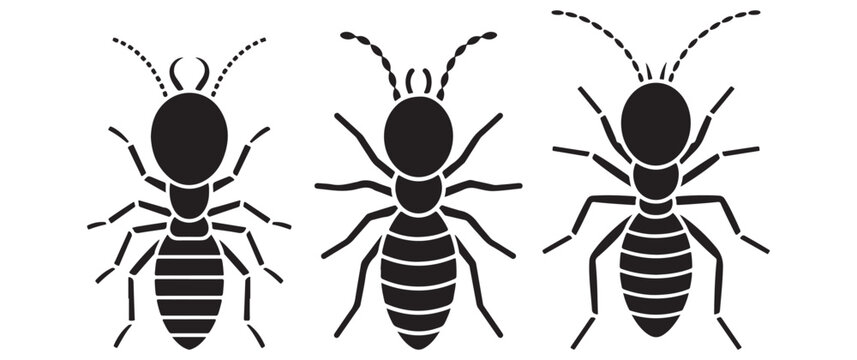 Three distinct termite silhouettes are displayed showcasing variations in body structure and wing configurations silhouette