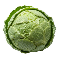 Fototapeta premium Fresh cabbage vegetable organic green healthy food ingredient for cooking nutrition isolated on white background