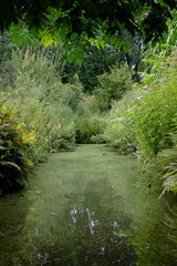 Obraz premium Amsterdam nature trail