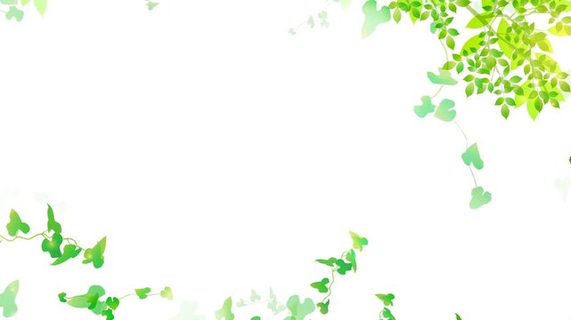 Beautiful green leaves and ivy vine frame animation