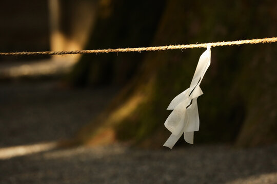 Shide paper streamers at Shinto shrine in Japan