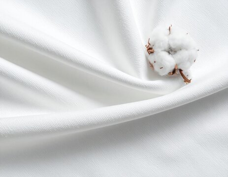 Organic Raw Cotton Flower Boll on Pure White Soft Fabric Background