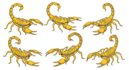 Fototapeta premium Scorpion Swarm Pattern
