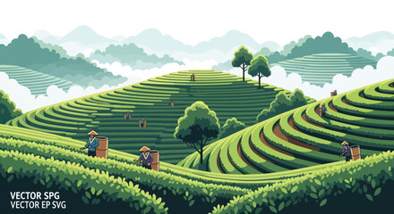 Fototapeta premium Tea Plantation Harvest: Farmers Collecting Leaves on Lush Green Terraced Hills