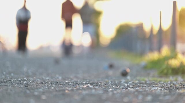 People playing petanque ball game at sunset