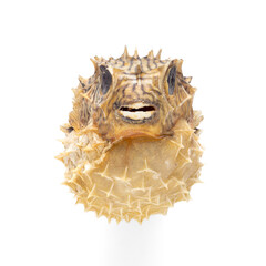 Found Objects © @robertmilici