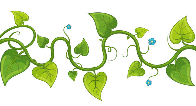 Green vine with heart-shaped leaves and small blue flowers on white background