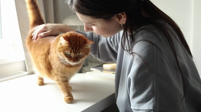 Girl brunette sitting at the office desk at home and petting her domestic cute orange cat.Spending time at home with pets, domestic life, work from home