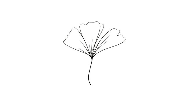 A simple black line drawing of a leaf with three lobes on a thin stem. Isolated on white
