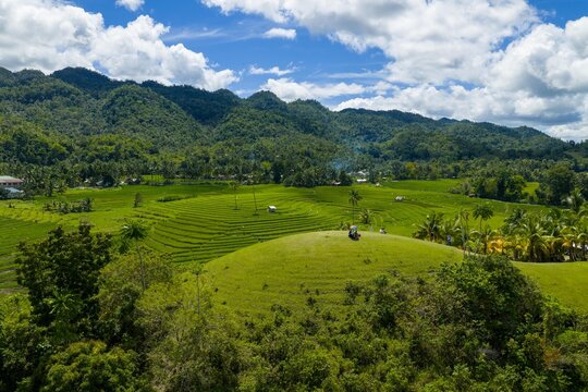 Aerial view of Cadapdapan Rice Terraces and Can-umantad Falls in Candijay, Bohol. Lush green agricultural landscape and majestic waterfall, Philippines.