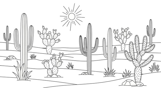 Black and White Line Art Illustration of Desert Landscape with Various Cacti and Sun. Arid Nature and Botanical Scene.