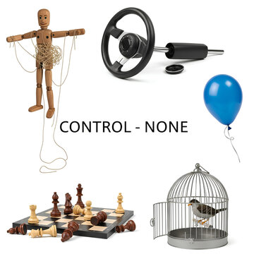 Various objects with the control type set to none a diverse collection.