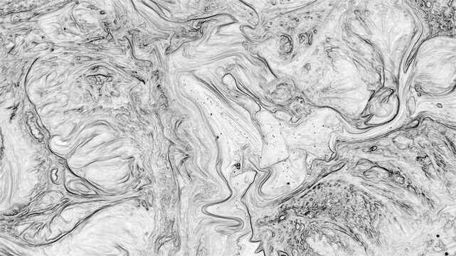 Black and White Organic Fluid Texture Background