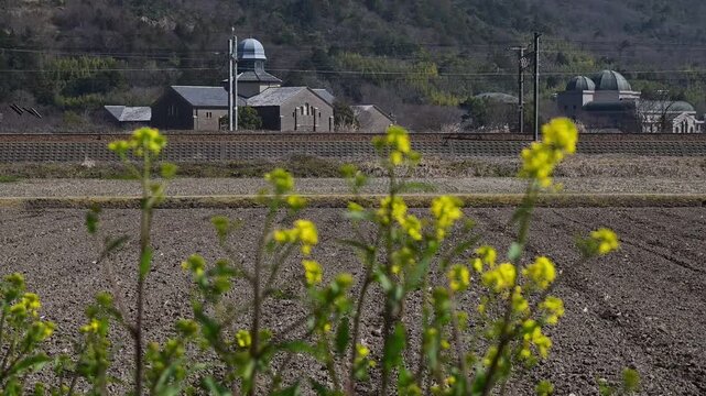 春の安土を通過するトワイライトエクスプレス瑞風（東海道本線 安土 - 近江八幡, 2026年3月）