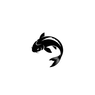 Black Koi Fish Side Profile View.