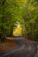 Obraz premium Winding Forest Road Through Vibrant Autumn Trees – Scenic Journey and Peaceful Nature Escape 
