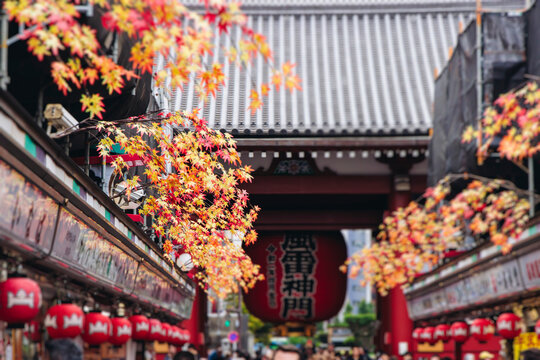 Senso-Ji temple in Asakusa district, Taito City, Tokyo, Japan, Asakusa Kannon, Kinryu-zan Buddhist temple shrine in autumn fall day, with Nakamise shopping street, Kaminarimon Gate and Hozomon