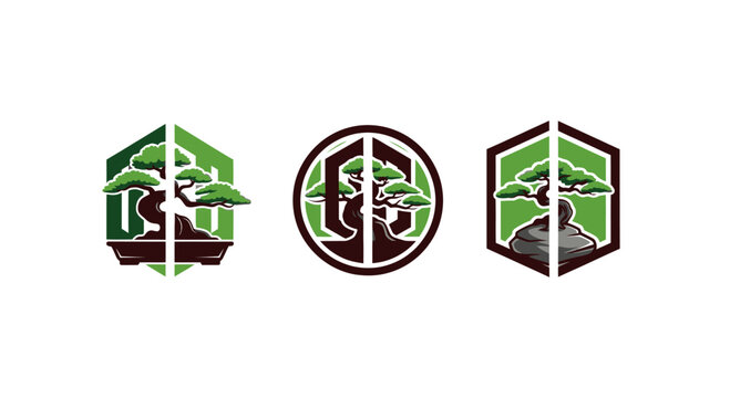 Bonsai Tree Logo Designs: Hexagonal and Circular Emblems
