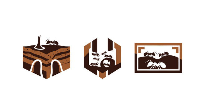 Ant Colony Icons: Nest, Hexagon Abstract, and Underground View