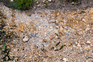 Clear Water Flowing Over Rocks in a Shallow Stream