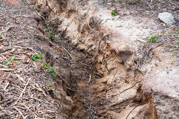 Narrow Trench Dug in Sandy Soil