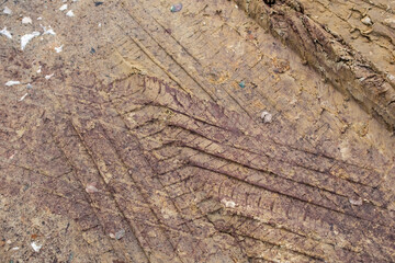 Deep Tire Tracks in Muddy Dirt Road