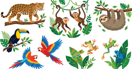 Tropical Jungle Animals Set Featuring Leopard, Monkeys, Sloth, Toucan, Parrots, and Frogs in Colorful Cartoon Style for Wildlife and Kids Designs © MstJuli