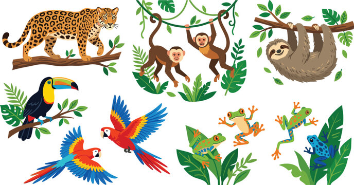 Tropical Jungle Animals Set Featuring Leopard, Monkeys, Sloth, Toucan, Parrots, and Frogs in Colorful Cartoon Style for Wildlife and Kids Designs