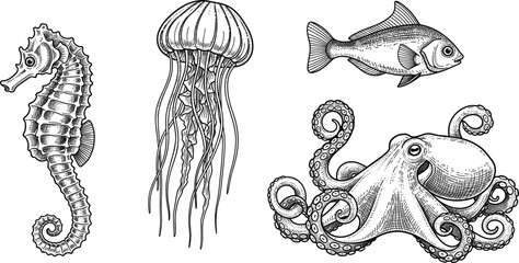Marine Animals Engraving Illustration Set with Seahorse, Jellyfish, Fish, and Octopus, Vintage Ocean Wildlife Drawing, Detailed Hand Drawn Vector Collection © Ruma