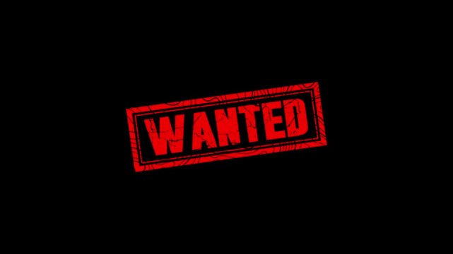 Wanted stamp design motion graphics. grunge rubber stamp impression animation. wanted distressed texture effect 4k video.