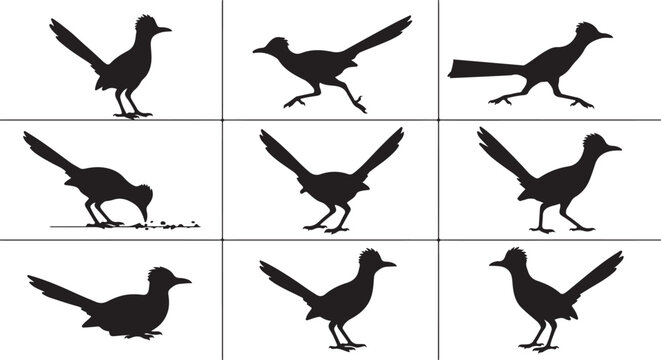 Set of greater roadrunner bird silhouettes in various poses including running, standing, and eating. Black desert wildlife silhouettes isolated on white background.