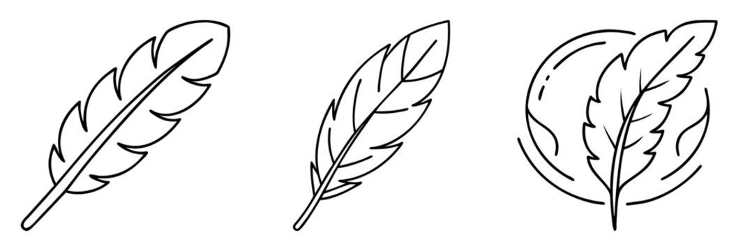 Minimalist black outline drawing of three unique feather designs in line art