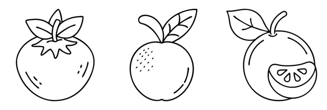 Stylized line drawing of tomato, apple, and orange fruit with leaves