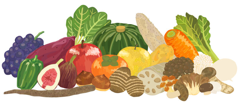 秋の味覚の集合イラスト ベクター素材