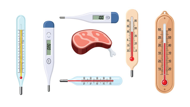 Diverse Thermometer Collection: Digital, Mercury, and Meat Probe for Medical, Food, and Ambient Temperature Measurement