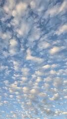 A wide vertical shot of a vibrant blue sky filled with a dense pattern of white, fluffy altocumulus clouds. The soft morning light creates a peaceful, rhythmic texture across the atmosphere. © Everlasting Dreams