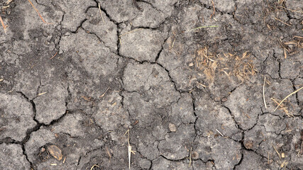 A high-angle view of parched, grey-brown earth fractured into a mosaic of deep cracks. Sparse, dried grass and organic debris are scattered across the arid, thirsty landscape. © Everlasting Dreams