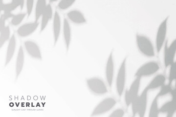 Sunlit Leaf Silhouettes Creating Calm Wall Patterns © kontat