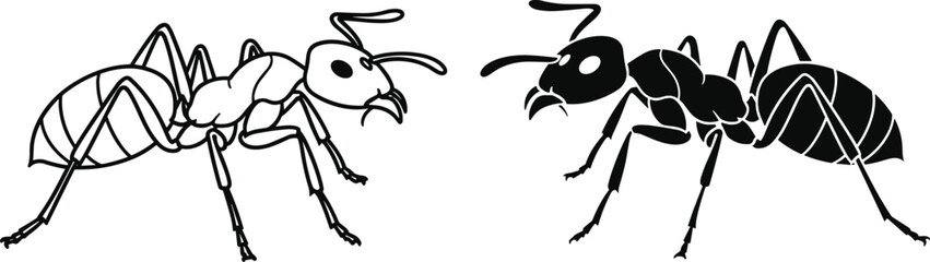 Two ant silhouettes featuring one black and one outline isolated on white background for insect nature design vector illustration element. © Mdjoshel 