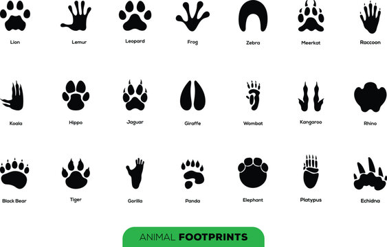 Animal Footprints Tracks Icon Set Wildlife Paw Hoof Print Silhouette Vector Collection