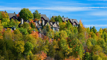 Naklejka premium Cluster of wooden chalet-style condominiums built into steep autumn-covered hillside at Mont Tremblant 