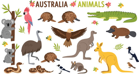 Large collection of cute Australian animals including kangaroo koala platypus echidna and emu vector illustrations for children education posters nature books and zoo branding © MdGohurul