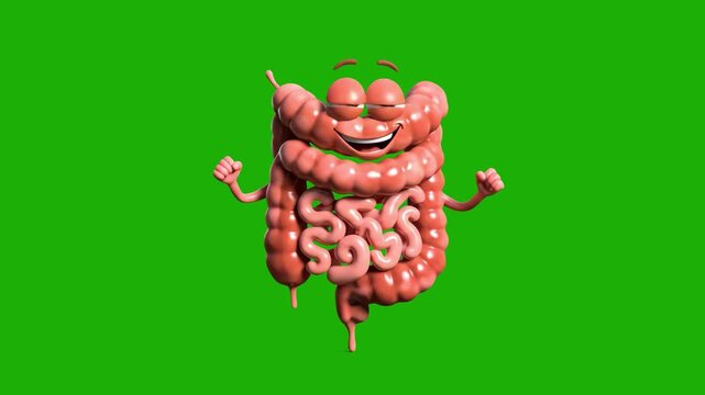 A friendly 3D animated human intestine mascot with a smiling face dancing on a green background. Designed for medical education, healthcare marketing, and digestive wellness campaigns using chroma key