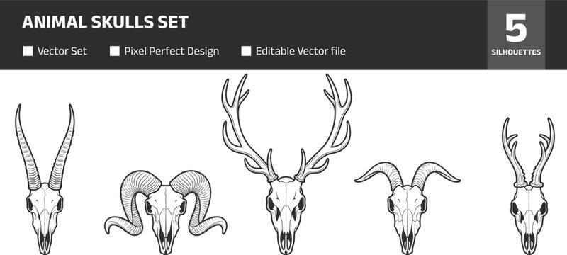 Animal skulls set, deer, ram, antelope skull illustrations collection, vintage engraved style vector isolated on white background for design