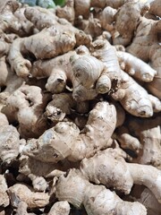 Fototapeta premium Fresh ginger roots at the market, a natural organic spice ingredient.