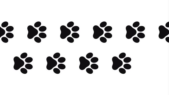cat paw animation, animal footprints trail, cartoon paw prints, walking paw steps, pet track animation, cute animal trail, seamless paw pattern, funny footsteps animation