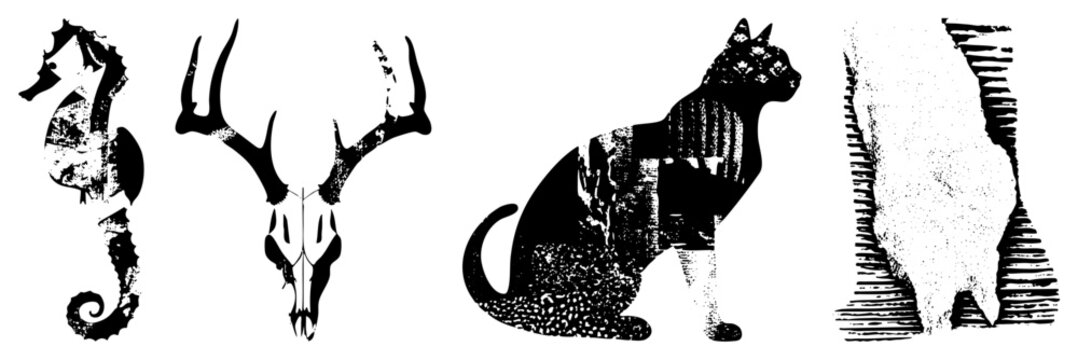 Seahorse, deer skull, cat, and tree trunk in vector art with gritty texture, isolated foreground elements, graphic design motifs.