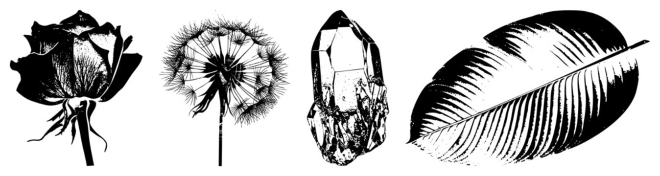 Rose bud, dandelion seed head, crystal, banana leaf stylized botanical and mineral forms, vector art, nature motifs, graphic design elements.