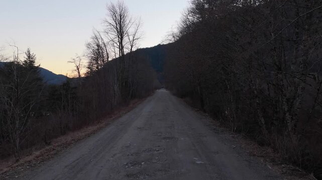 Long Dirt Road Through Bare Forest Towards Mountains in British Columbia at Dusk